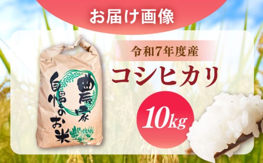 米 ふるさと納税限定 コシヒカリ こめ こしひかり ブランド米 主食 贈答 ギフト おすすめ 人気 岐阜県 恵那市