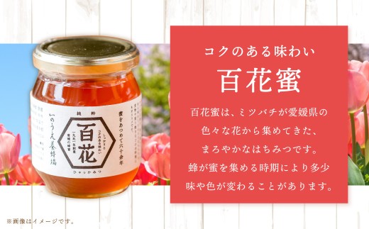 百花蜜 & 蜜柑蜜 セット(各300g) 計600g はちみつ ハチミツ 蜂蜜 【えひめの町(超)推し!(内子町)】(369)