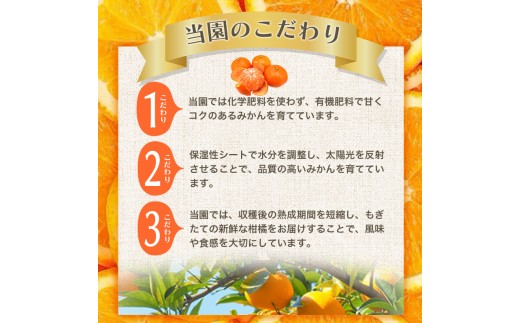 和歌山県北山村のふるさと納税 【2026年12月発送予約】 ご家庭用 こだわりの有田みかん 約5kg＋150g(傷み補償分)  光センサー選別 農家直送 / みかん ミカン 有田みかん 温州みかん 柑橘 フルーツ 果物 くだもの 旬 人気 みかん先行予約 家庭用 和歌山【nuk160-12D】