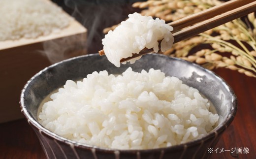 米 ふるさと納税限定 コシヒカリ こめ こしひかり ブランド米 主食 贈答 ギフト おすすめ 人気 岐阜県 恵那市