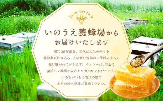百花蜜 & 蜜柑蜜 セット(各300g) 計600g はちみつ ハチミツ 蜂蜜 【えひめの町(超)推し!(内子町)】(369)