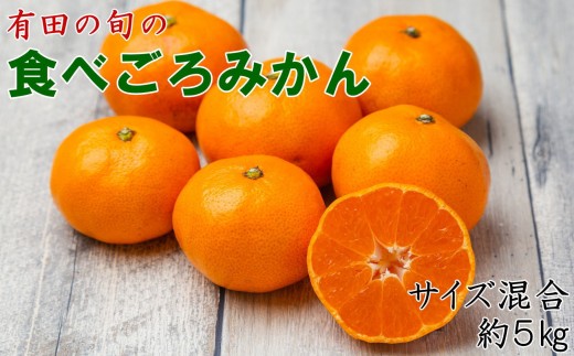 有田の旬の食べごろみかん約5kg（サイズ混合）（秀・優品混合）★2026年11月下旬頃より順次発送 ［TM226］ 2537453 - 和歌山県九度山町