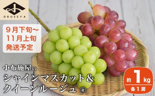 シャインマスカット＆クイーンルージュ_ 約1kg 各1房 ［小布施屋］ 果物 フルーツ ぶどう 葡萄 令和8年産【2026年9月下旬～11月上旬発送】 ［A-300］