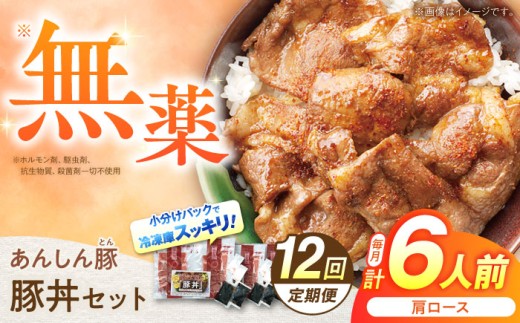 【12回定期便】豚丼 セット 計6人前（肩ロース120g × 2人前）× 3セット / 藤井ファーム 豚肉 豚丼 ぶたどん 豚どん 冷凍 国産 お惣菜 惣菜 タレ付き 豚カタロース 豚肩ロース 無薬 薬不使用 あんしん豚 安心豚 丼 丼もの レトルト食品 冷凍 人気 オススメ おすすめ セット タレ たれ付き おかず 簡単調理 お手軽 時短 お歳暮 11万4千円 114000円 [AWAF015]