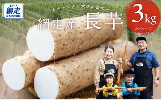 長芋 3kg 【 ふるさと納税 人気 おすすめ ランキング 長芋 ながいも ミネラル とろろ オホーツク 北海道 網走市 送料無料 】 ABBX001