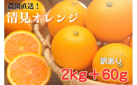 清見オレンジ 約2kg+60g傷み補償 大小混合 《ご家庭用》 ちょっと訳あり 和歌山県産 農園直送 まごころ産直みかん 【北海道・沖縄県・一部離島 配送不可】 ［Mg67］