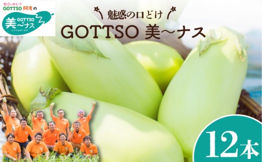 【先行予約】 野菜 ナス 美～ナス 12本 なすび 茄子 夏野菜 野菜 やさい 漬物 味噌汁 サラダ スープ カレー 麻婆豆腐 和食 洋食 中華 おかず おつまみ 惣菜 弁当 日用 ギフト 贈り物 プレゼント 焼肉 アウトドア BBQ 朝採れ 新鮮 産地直送 健康 美容 冷蔵 送料無料 徳島県 阿波市 MONTAふぁ～む