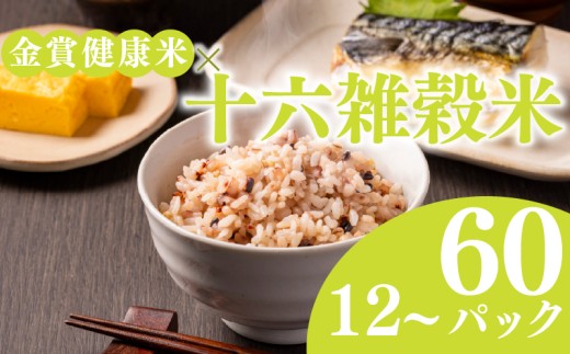 ご飯パック 金賞 健康米 十六雑穀米  120g×36個入り 国産 レンチン もち麦 軽食 夜食 簡単 白米 麦 食物繊維 ビタミン 御飯 ごはん パック ご飯 パックライス 