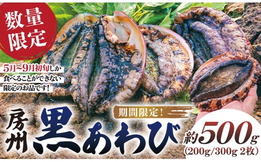 【先行受付 2026年5月～9月初旬発送予定】【数量限定】房州 黒あわび 約500g (200/300g × 2枚) mi0020-0012 【あわび アワビ 特産品 肉厚 食べ応え ホイル焼き 海鮮 魚介類 限定 】