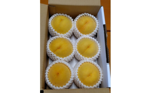 08-45-015　もも(黄貴妃)3kg