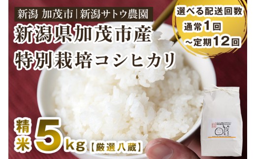 【令和6年産米】【選べる発送回数】化学肥料不使用 従来コシヒカリ 5kg【厳選八蔵】定期便 隔月便 特別栽培 従来品種 有機肥料 精米 米 お米 加茂市 新潟サトウ農園