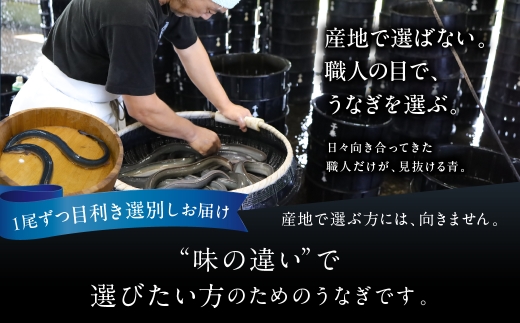愛知県田原市のふるさと納税 【すぐにお届け/冷凍】厳選 高級 青うなぎ 2尾 蒲焼 300g