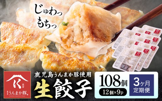 【3ヶ月定期便】鹿児島 うんまか豚 生餃子 108個 株式会社 寺師《お申込みの翌月出荷》鹿児島県 さつま町 餃子 ギョウザ 焼き餃子 水餃子