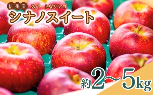 【2026年先行予約】スイートなりんご シナノスイート 約2kg/約3kg/約5kg | 信州りんご 長野りんご リンゴ 林檎 千曲市 長野県産 信州