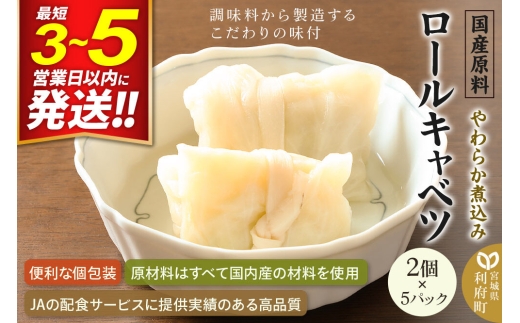 国産原料 やわらか煮込みロールキャベツ 2個×5パック [ぶた肉 ブタ肉 きゃべつ キャベツ とろとろ トロトロ]