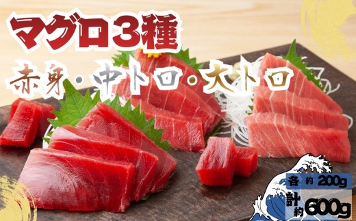 【7月上旬から順次発送】本マグロ 3種 赤身 中トロ 大トロ 各1柵 