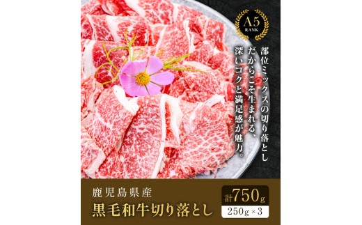 鹿児島県産黒毛和牛切落し250ｇ×3パック 株式会社カミチク 《90日以内に出荷予定(土日祝除く) 》  鹿児島県産 A5 黒毛和牛 和牛 切落し 250ｇ×3パック 計750g