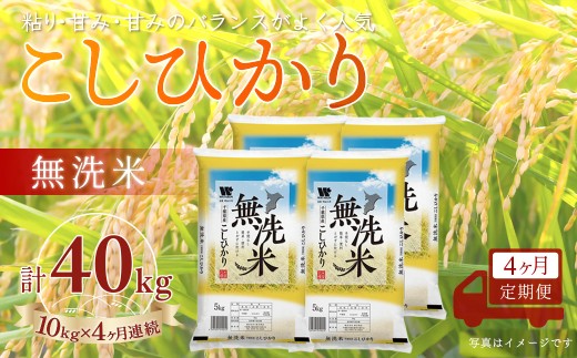 ＜4か月定期便＞ 千葉県産「コシヒカリ」無洗米 10kg×4か月連続 計40kg