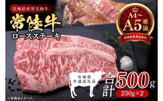 最高級A4.A5ランク 常陸牛ロースステーキ500ｇ（250ｇ×2）【人気肉 お肉 牛肉 和牛 黒毛和牛 国産黒毛和牛 ロース肉 ステーキ 国産牛 焼肉 焼き肉 バーベキュー BBQ A5 ブランド牛】(CR101)