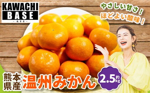 熊本県産 温州みかん 2.5kg みかん ミカン 柑橘類 柑橘系 甘さ 酸味 柑橘 国産 果物 くだもの フルーツ 【2026年11月上旬発送開始】