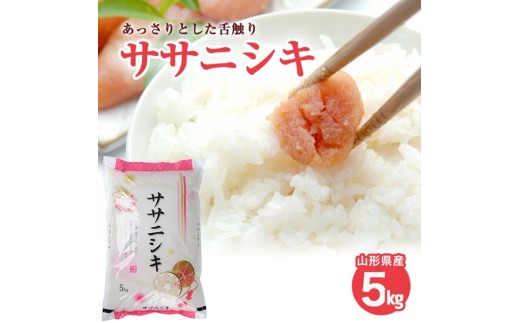 令和7年産【精米】ササニシキ　5kg(5kg×1袋) JS SA2941