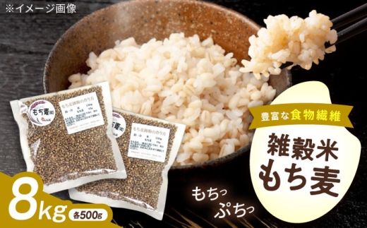 内子町産もち麦8kg ／ 国産 雑穀米 もち麦 ごはん おすすめ 送料無料 米 【株式会社内子フレッシュパークからり】 [BKAD015]