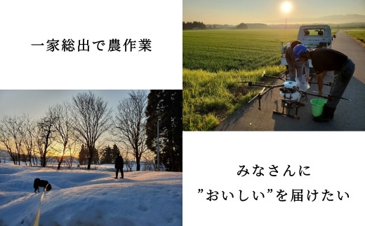 農薬不使用・化学肥料不使用の自然栽培　一度食べたら忘れられない