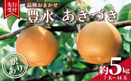【2026年先行予約】 品種おまかせ 梨 約 5kg ( 7玉 ~ 14玉 ) 豊水梨 あきづき 《9月上旬頃～発送》 なし ナシ 梨 ほうすい梨 秋月 旬の梨 和梨 果物 果実 くだもの フルーツ 旬 訳アリ 産地直送 家庭用 千葉県 旭市 香樹園 kje001