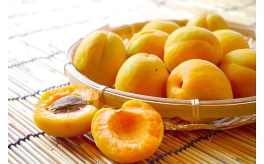 【2026年先行予約】長野県千曲市産 加工用(訳あり)生あんず 1.5kg/3kg/5kg/6kg(3kg×2)/10kg(5kg×2) | 果物 フルーツ 杏子 アンズ アプリコット 千曲市 長野県 信州