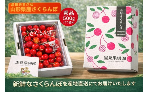 さくらんぼ（品種おまかせ）５００ｇ以上　秀品以上　0079-2607