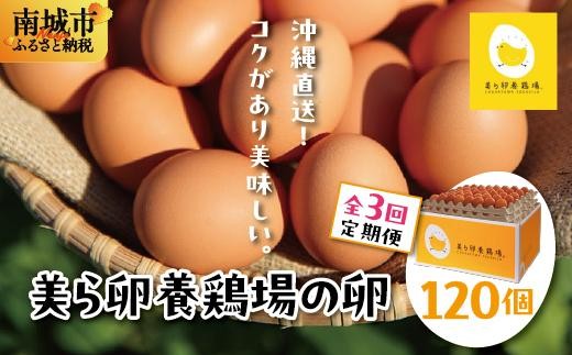 卵の黄身が掴めるほどの新鮮さ 美ら卵養鶏場の卵 120個【3ヶ月定期便】   I  たまご タマゴ  卵 美ら卵 養鶏場 美ら卵 新鮮  養鶏場  定期便   120個   沖縄県 南城市 ふるさと納税 有限会社 美ら卵養鶏場