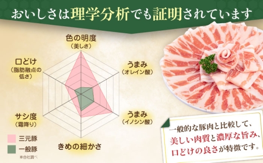 北海道喜茂別町のふるさと納税 【8枚（藻塩2袋付）】平田牧場 ロースステーキ 800g (100g×8枚) ※藻塩付 《喜茂別町》【平田牧場】とんかつ ロース 時短 豚肉 冷凍 豚カツ トンカツ 肉 お弁当 おかず 国産 豚ロース 送料無料 とんかつ用 惣菜 簡単  [AJAP004]