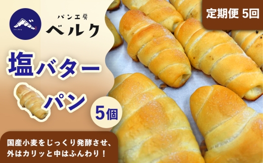 【5回定期便】塩バターパン 5個セット / パンセット 冷凍パン 朝食 おやつ ぱん 菓子パン ベーカリー / 稲沢市 / パン工房ベルク [BMAF022] 2505034 - 愛知県稲沢市
