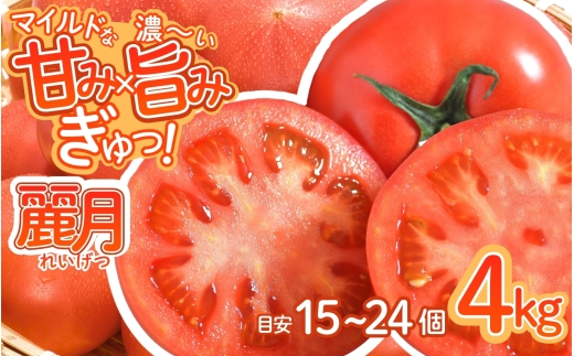 デリシャスファームのトマト(麗月) 4キロ箱 / とまと 野菜 トマト 【delf012】