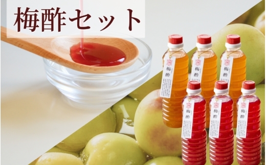 【梅ボーイズ】無添加 紀州南高梅の梅酢500ml×6本セット（白・紫蘇）天日塩使用 【umehkr024】