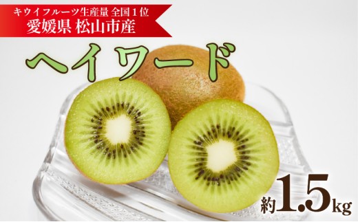 キウイフルーツ ヘイワード 約1.5kg【2026年11月上旬頃から順次発送】 |  キウイ グリーンキウイ ヘイワード キウイフルーツ フルーツ 果物 きうい くだもの デザート 産地直送 数量限定 国産 送料無料 愛媛県 松山市