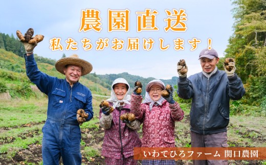 【厳選品】岩手にのへじゃがいも「伝」メークイン (L・Mサイズ) 10kg