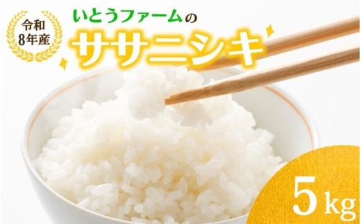 いとうファームの令和8年産「ササニシキ」白米 5kg ※2026年11月より順次発送予定