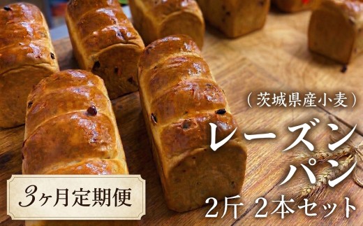 【 3ヶ月 定期便 】茨城県産 小麦の レーズンパン 2斤 2本 セット 食パン パン 小麦 冷凍 レーズン プレゼント ギフト 