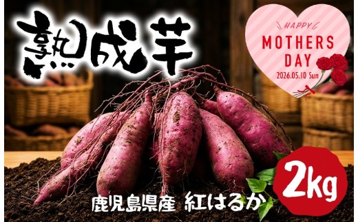 W-2105-mo2026／＜2026母の日ギフト＞熟成芋 (紅はるか 生芋) 2kg