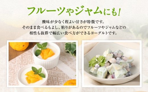 球磨の恵みヨーグルト 砂糖不使用タイプ