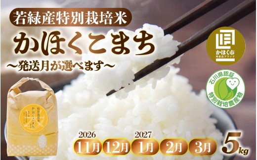 【選べる発送月】【11月～3月発送】若緑産 「かほくこまち」 5kg  特別栽培米 / 令和8年産 新米 白米 精米 こめ コメ ご飯 ごはん おすすめ 食感 国産 5キロ 送料無料