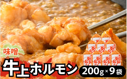 牛味噌 上ホルモン 200g×9袋（1～2人前×9袋） 計1.8kg ＜絶品！炒めるだけ簡単！＞ ／ 味付け 肉 焼肉 BBQ バーベキュー もつ ホルモン 小分け おつまみ 冷凍 アウトドア やみつき 人気 [aw001-a017]