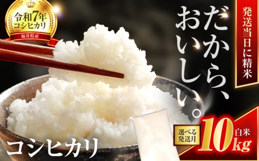 【2月発送】小浜市産コシヒカリ 精米 10kg 若狭の自然が育てたごはん 国産米 福井県 / 白米  地域密着 米問屋 小浜市 / 梅田東米穀店 [BFEK003]