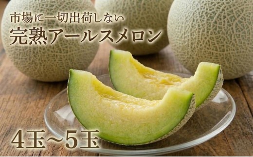 完熟 アールスメロン 大箱 4玉～5玉 2026年産 先行予約 メロン マスクメロン 青肉 果物 フルーツ 茨城県産 期間限定 数量限定 