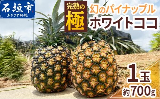 ＜期間限定 春フェア＞《2026年5月以降順次発送》[先行予約] お試し用 幻のパイナップル ホワイトココ 1玉  [マツコの知らない世界で絶賛] | 沖縄 石垣島 石垣 八重山 パイン パイナップル 期間限定 数量限定 TV テレビ 紹介 マツコ