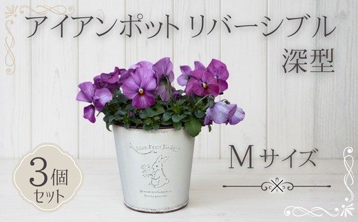 アイアンポット リバーシブル M 深型 3個セット | 植木鉢 おしゃれ 鉢カバー 止水栓付 フラワーベース 花瓶 花器 アイアン ポット 園芸 寄せ植え ガーデニング アンティーク風 インテリア 大宅産業