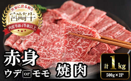 宮崎牛 赤身カット 焼肉 (計1kg・500g×2) 焼肉 お肉 牛肉 黒毛和牛 宮崎牛 ブランド和牛 冷凍 国産 モモ ウデ 宮崎県産 【YM-24】【YAMATO株式会社】