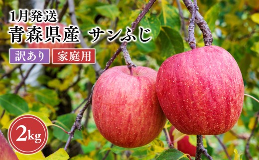 2027年1月発送　【訳あり】家庭用サンふじ 約2kg【原田農園】 家庭用 青森 青森県産 平川 りんご リンゴ 林檎 くだもの 果物 フルーツ 葉とらず サンふじ ふじ