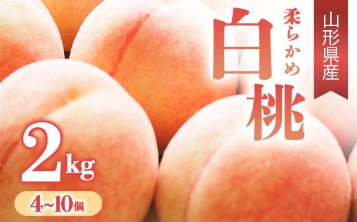 【先行予約 令和8年度発送】柔らかめ白桃 2kg（4～10玉） 品種おまかせ  もも モモ 桃 デザート フルーツ 果物 くだもの 果実 食品 山形県 FSY-0665